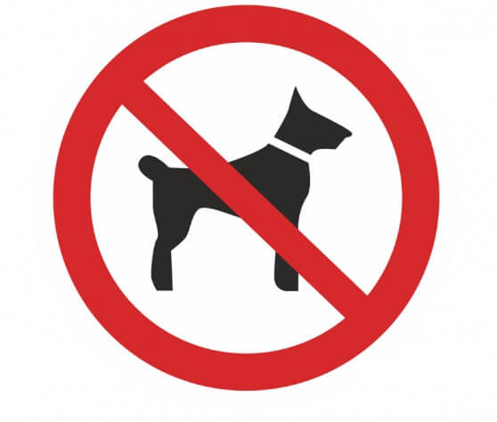 фото Знак P-14 (Запрещается вход (проход) с животными)